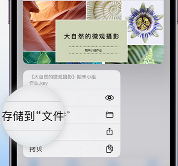 林州apple维修中心分享iPhone文件应用中存储和找到下载文件