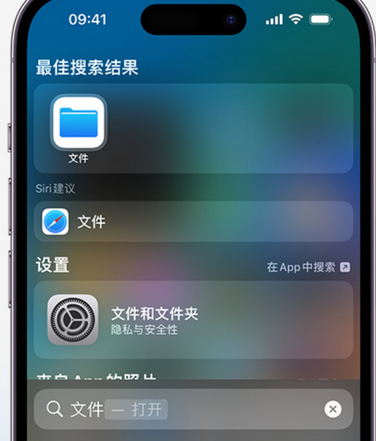 林州apple维修中心分享iPhone文件应用中存储和找到下载文件 