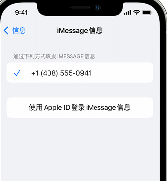 林州apple维修iPhone上无法正常发送iMessage信息 