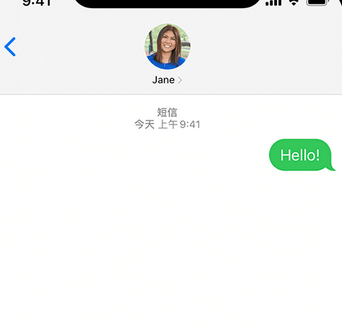 林州apple维修iPhone上无法正常发送iMessage信息