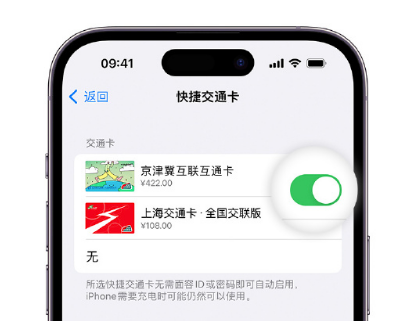 林州apple维修点分享iPhone上更换Apple Pay快捷交通卡手绘卡面 