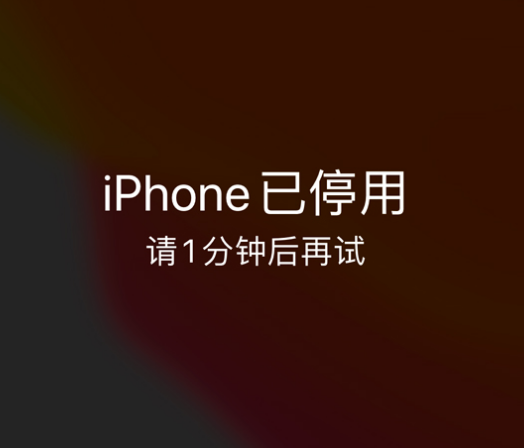 林州苹果手机维修分享:iPhone 显示“不可用”或“已停用”怎么办？还能保留数据吗？ 