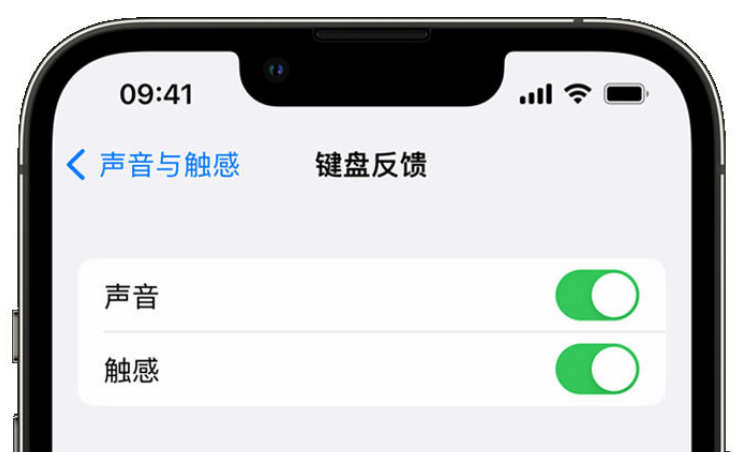 林州苹果手机维修分享iPhone 14触感键盘使用方法 