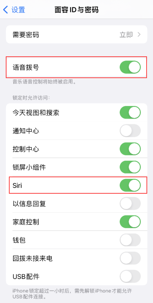 林州苹果维修网点分享不解锁 iPhone 的情况下通过 Siri 拨打电话的方法 