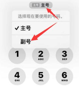 林州苹果14维修店分享iPhone 14 Pro Max使用副卡打电话的方法 