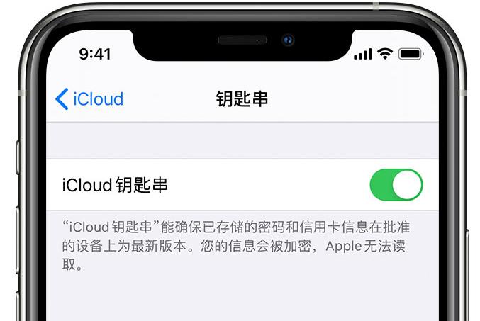 林州苹果手机维修分享在 iPhone 上开启 iCloud 钥匙串之后会储存哪些信息 