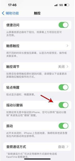 林州苹果手机维修分享iPhone手机如何设置摇一摇删除文字 